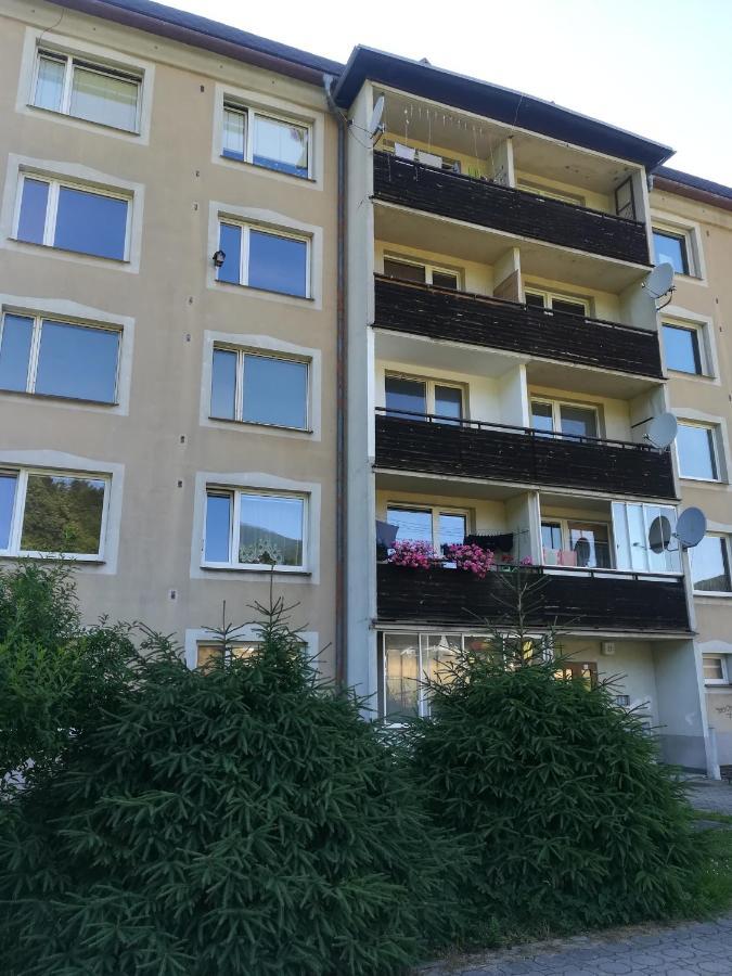 Apartman 21 Lägenhet Loučná nad Desnou Exteriör bild